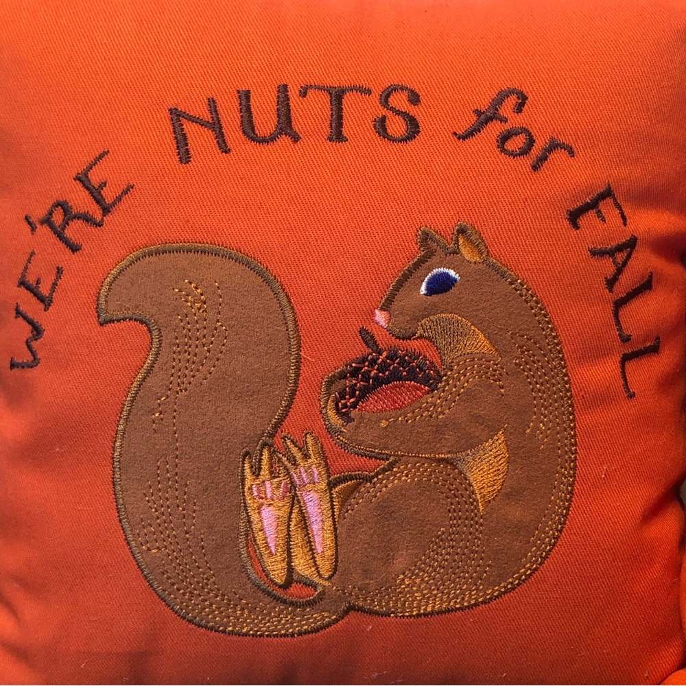 We’re Nuts For Fall Squirrel Decor Pillows - Picture 10 of 11